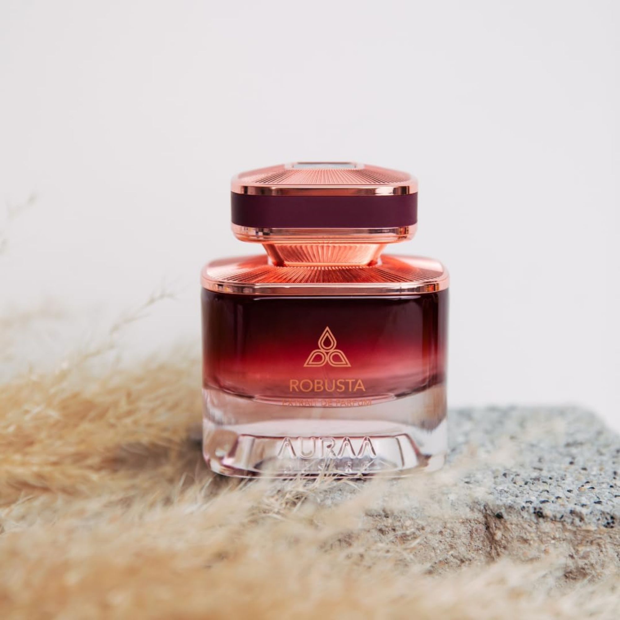 Auraa Desire Robusta Extrait De Parfum 100ml Woody Powdery Fresh Perfume for Men