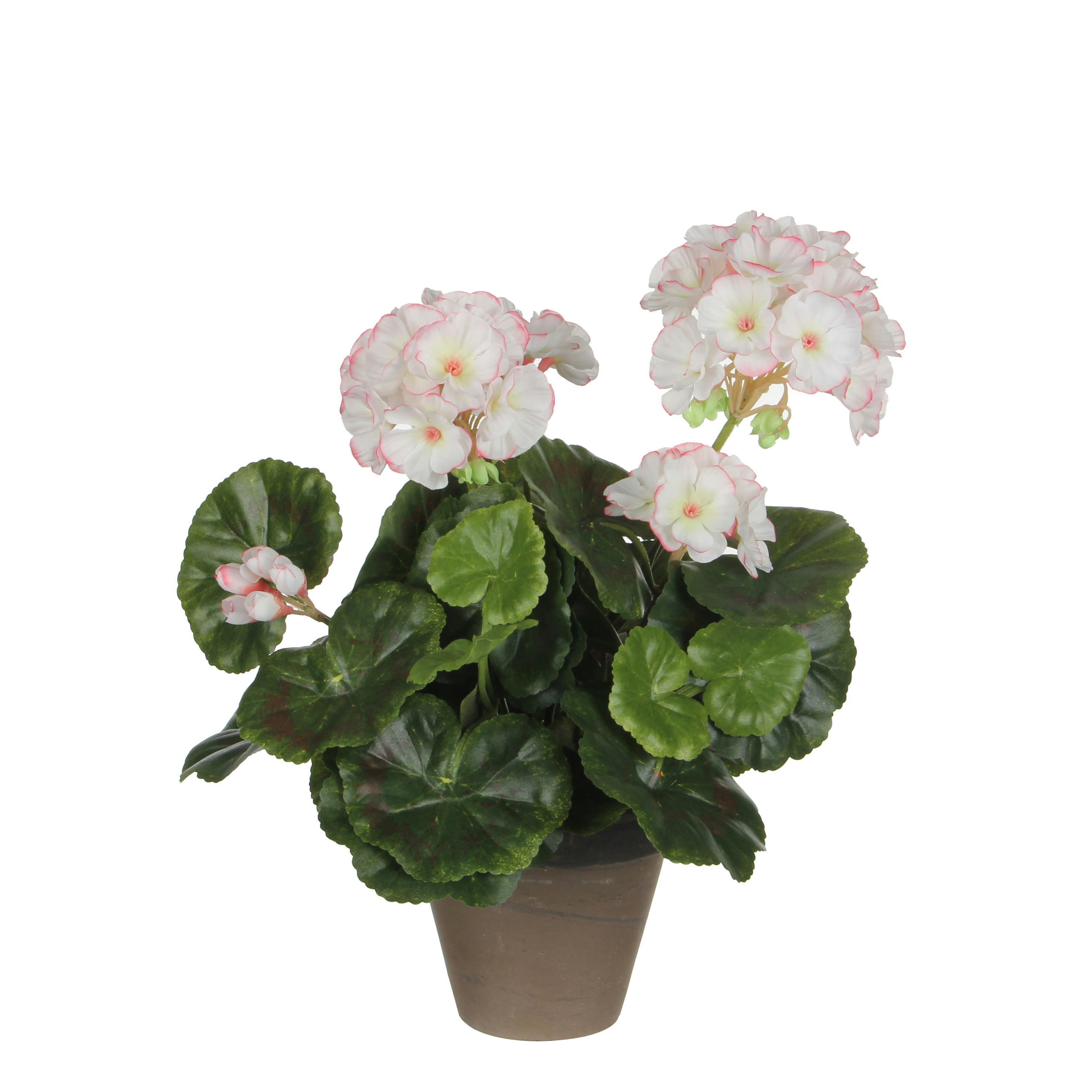 - Géranium artificielle blanc et rose en pot H34