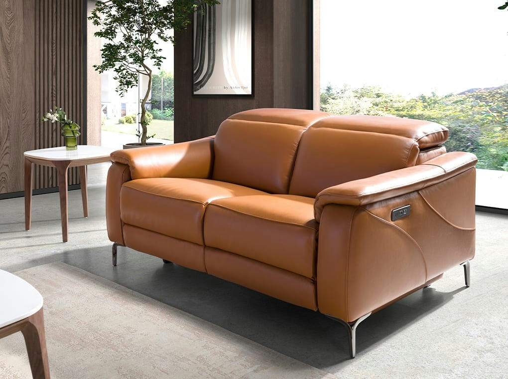 - Canapé relax 2 places en cuir marron