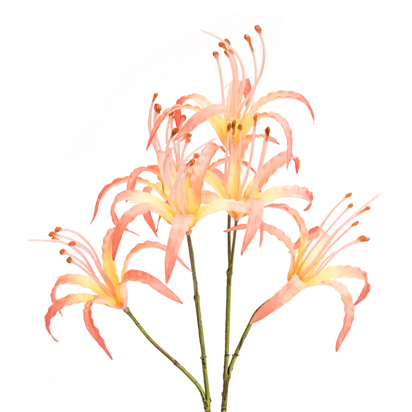 Kunstblume Flora