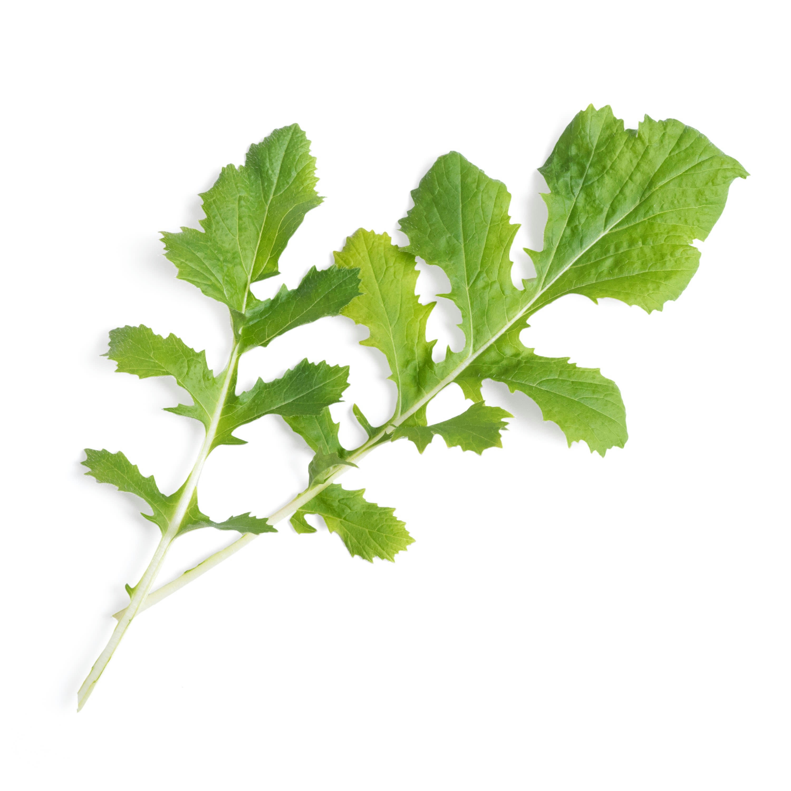 - Lingot Naménia BIO - Recharge prête à l'emploi