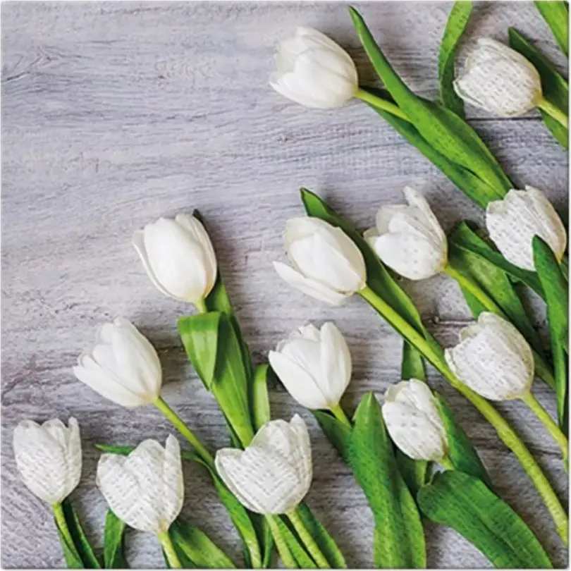 Serviette 20er-Set Tulpen