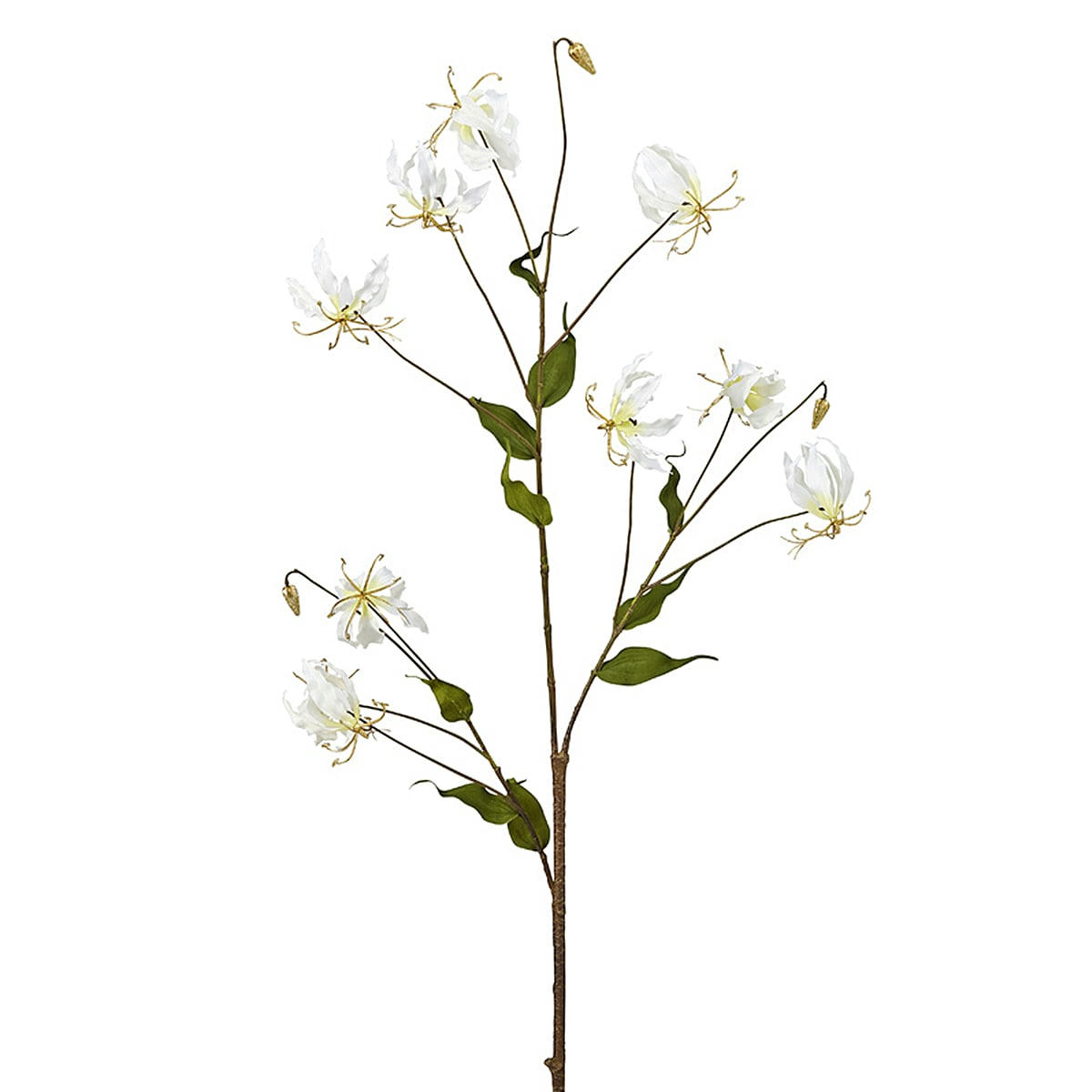 AMY - Gloriosa artificielle blanche et dorée H125