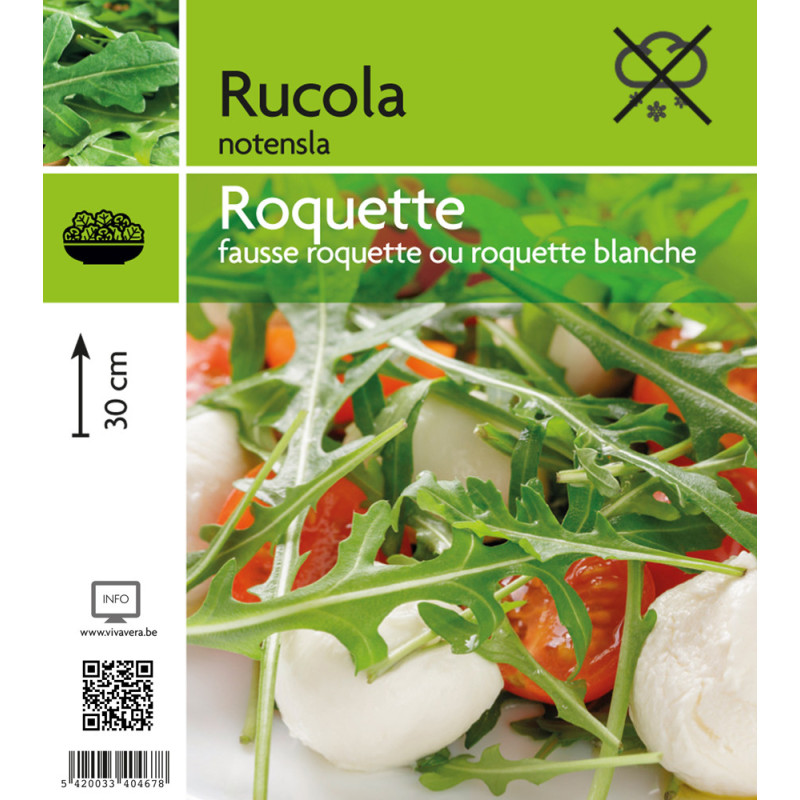 Roquette en pot