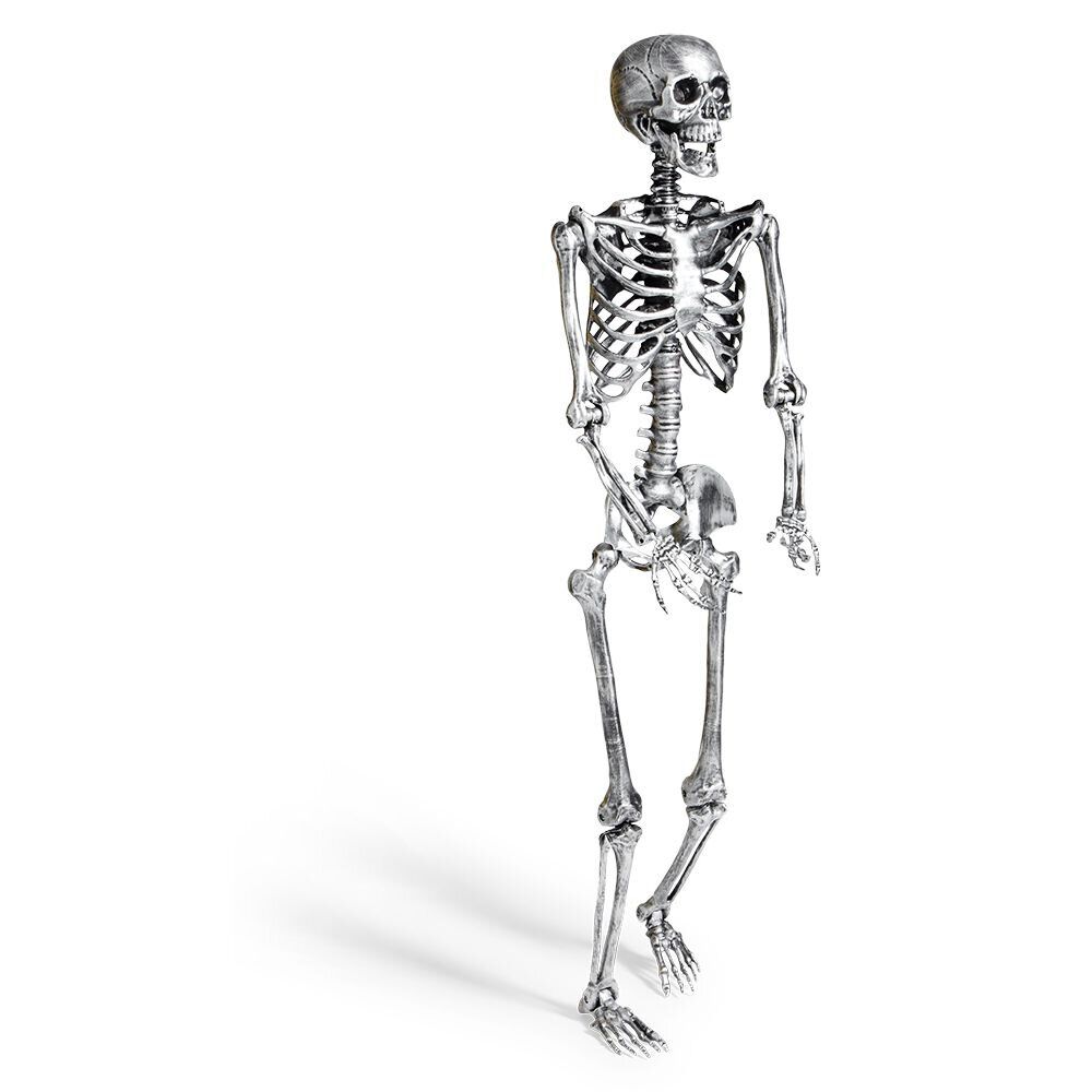 Squelette articulé Halloween H150cm plastique argenté