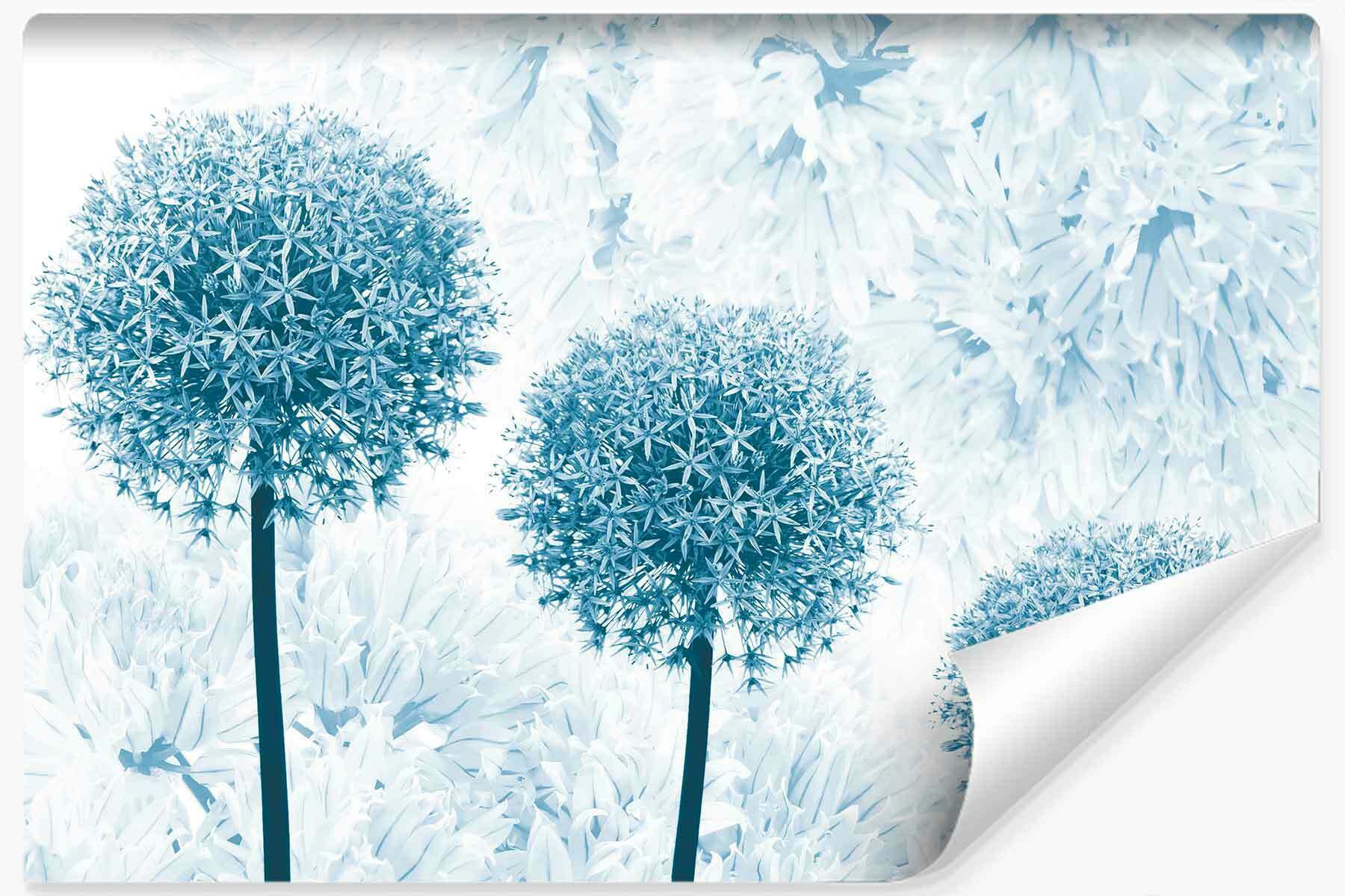 Fototapeta Niebieskie Dmuchawce do Jadalni 90x60cm