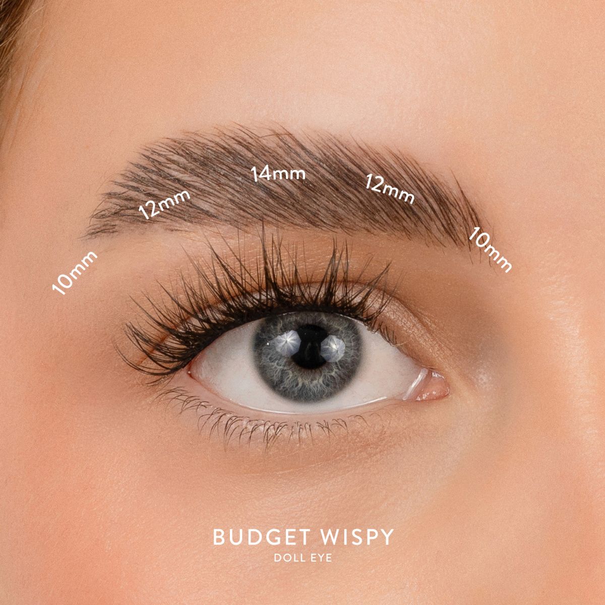 House of Amor Budget Box "WISPY" with Mini Bond
