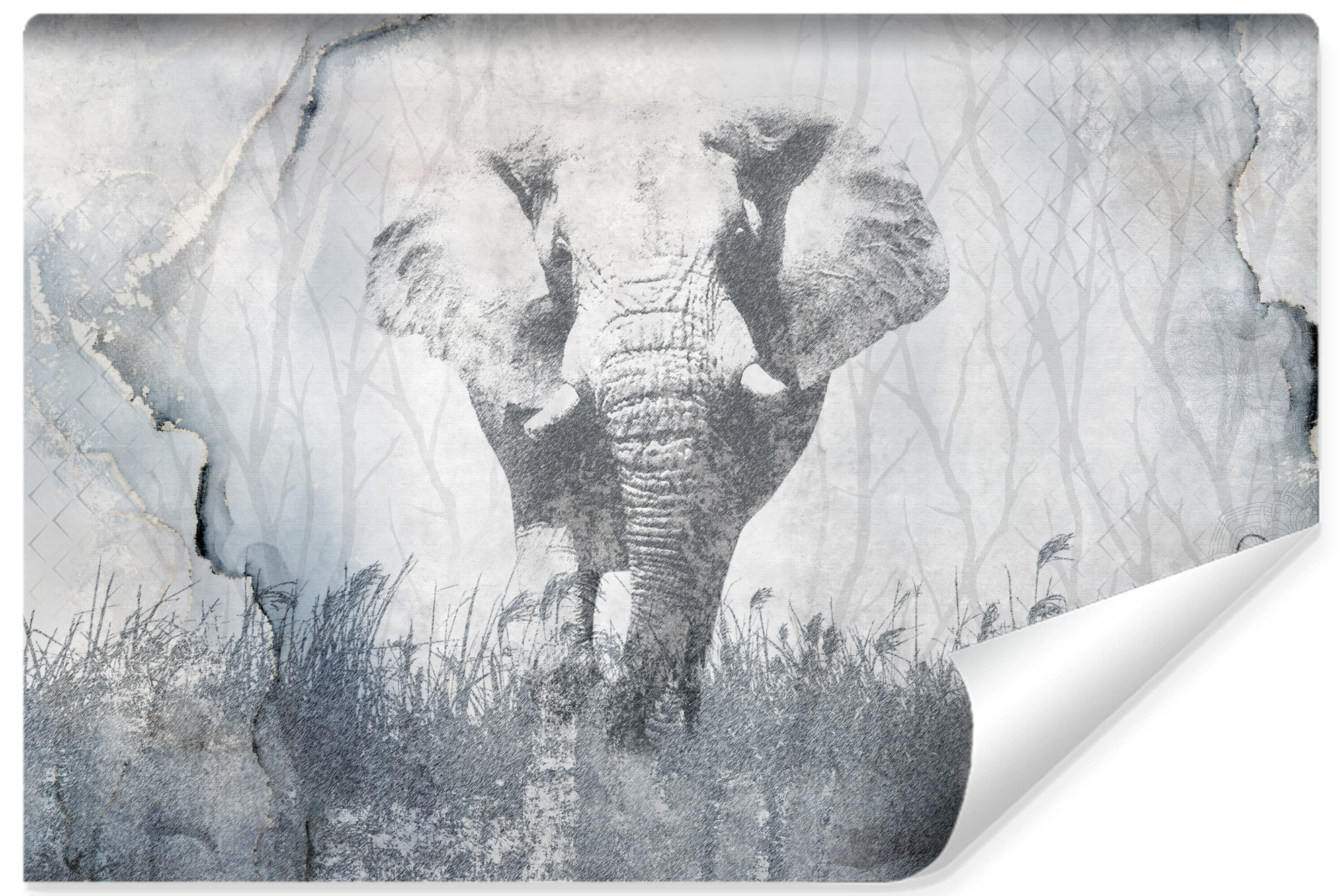 Fototapeta Ścienna SŁOŃ Beton Abstrakcja 90x60cm