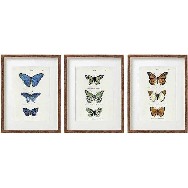 - Cadre papillons colorés 30 x 40 cm (lot de 3)