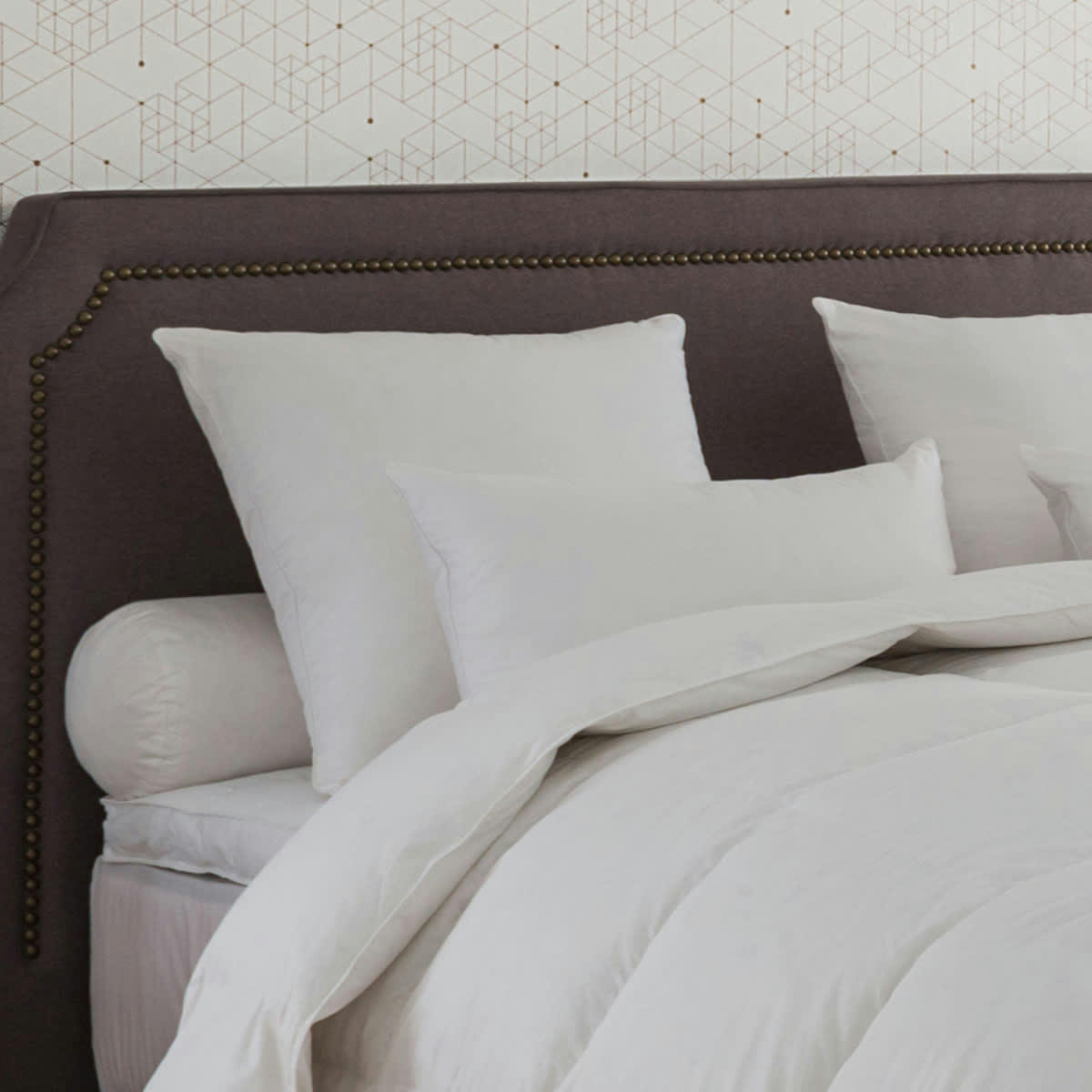 - Oreiller Alaska 40% Duvet - MEDIUM 65x65 cm - Drouault