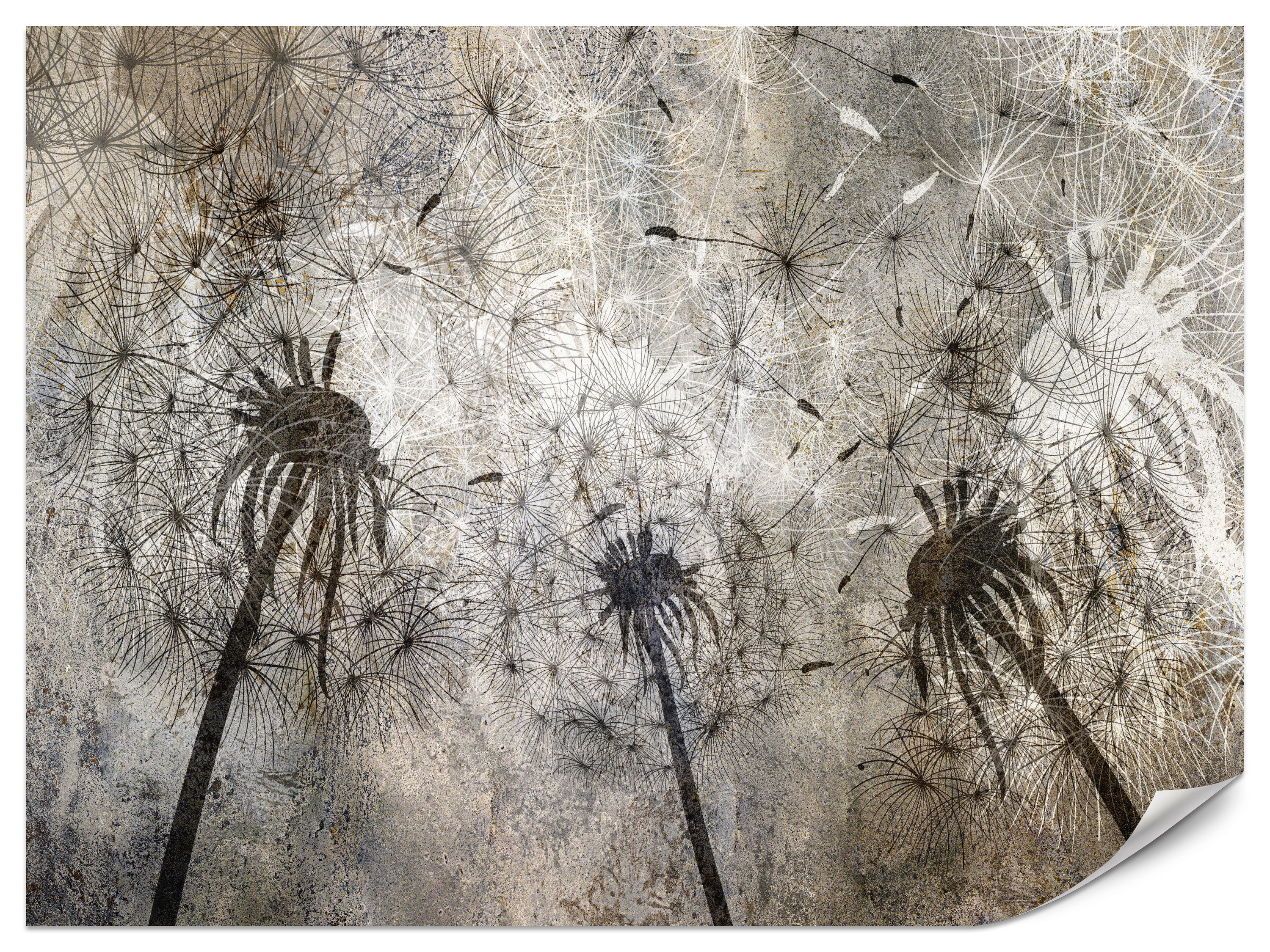 Fototapeta Poruszone tchnienie 100x70cm