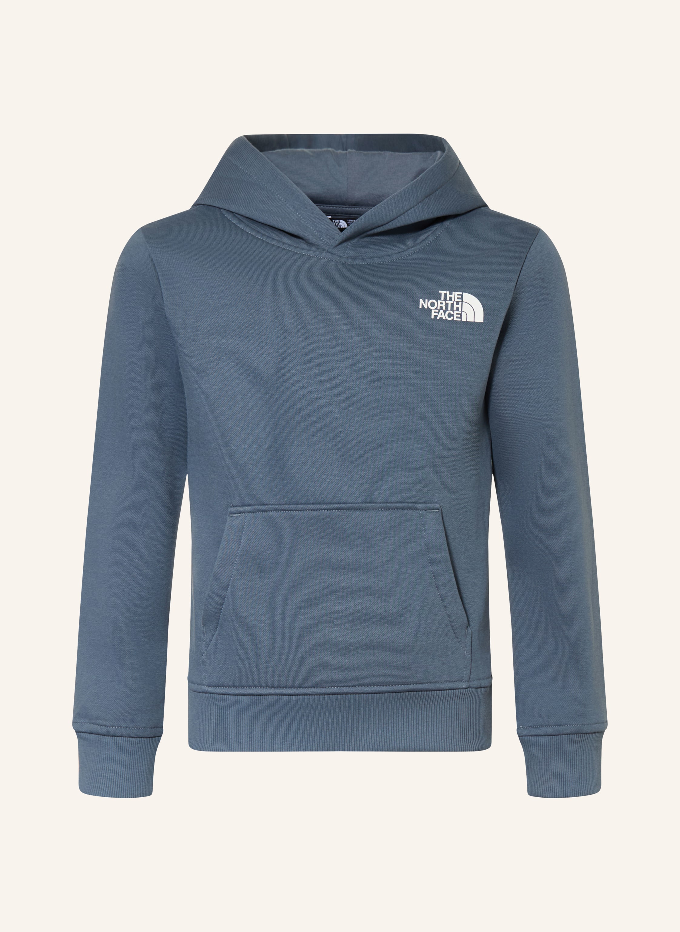 THE NORTH FACE Hoodie REEN BOX NSE