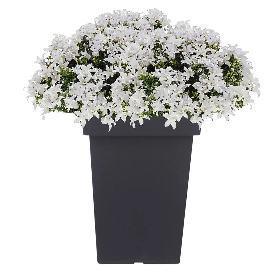 Prosperplast Bloempot - kunststof - antraciet - 29 x 44 cm