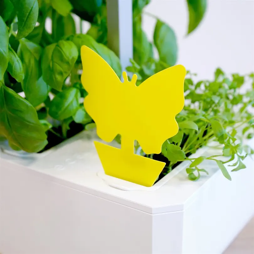 Insektenfallen für Pflanzen Accessoires