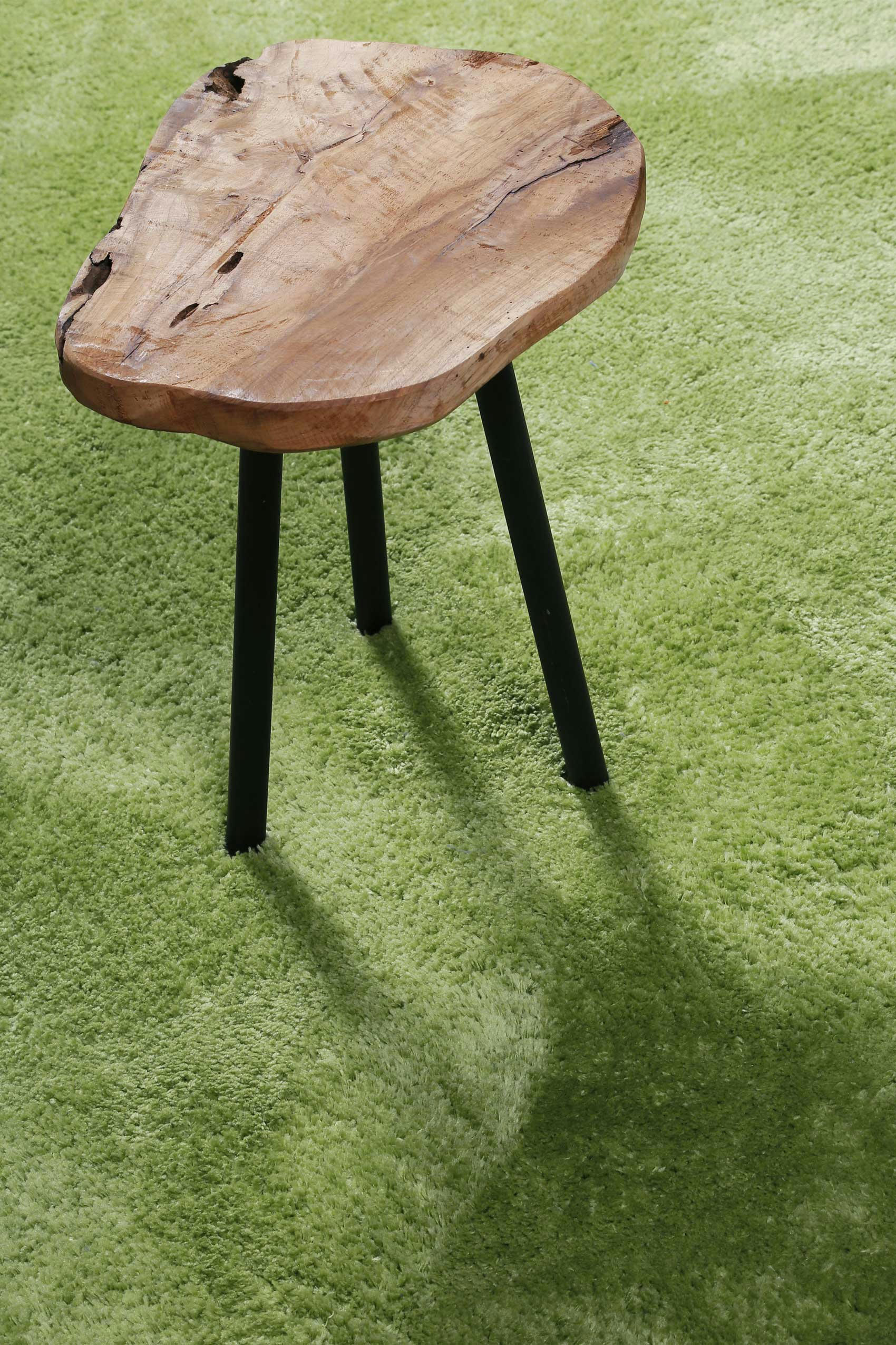 LOLA - Tapis à poils longs, confort moelleux, vert  170x240