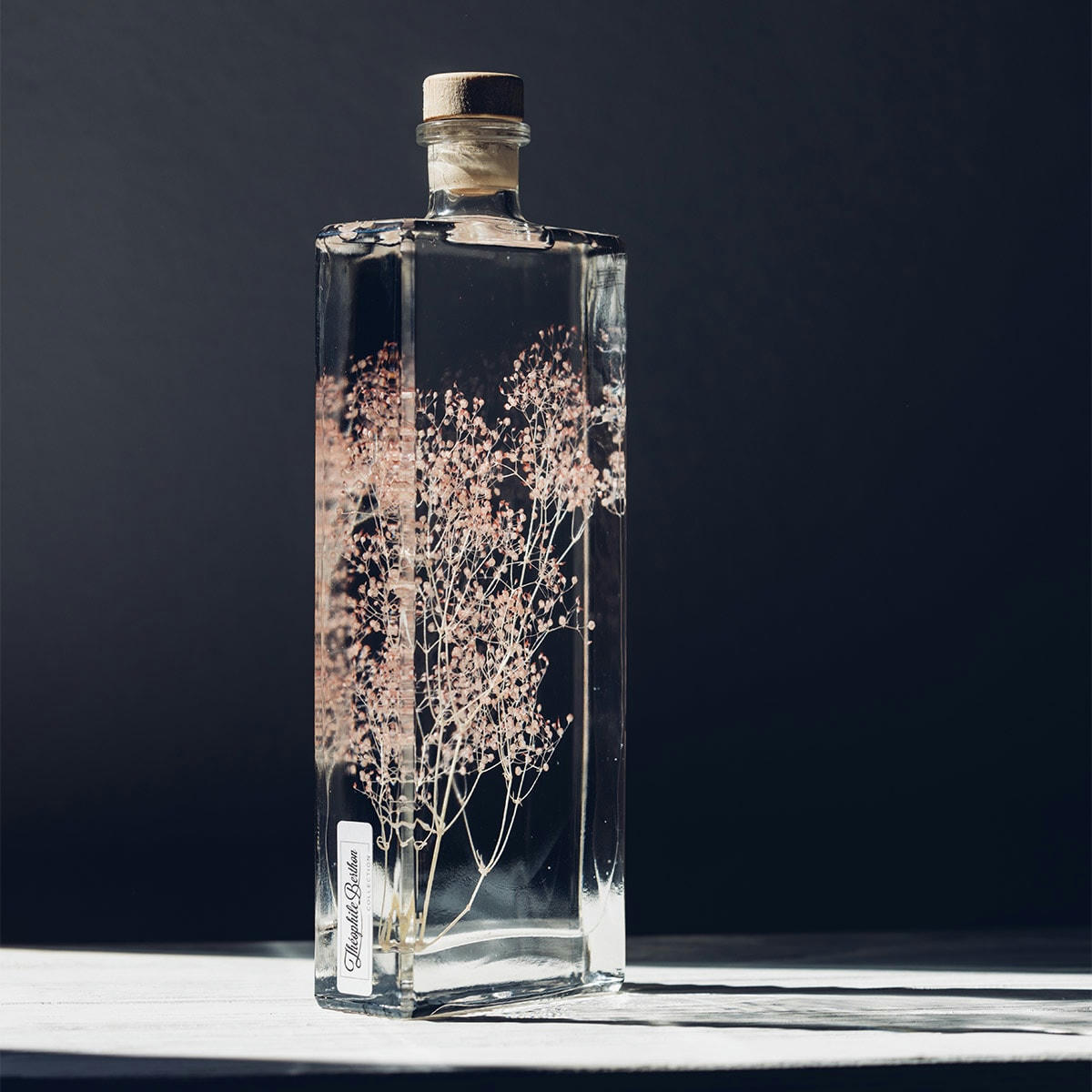 HERBARIUM DE THEOPHILE - Plante immergée Gypsophile rose