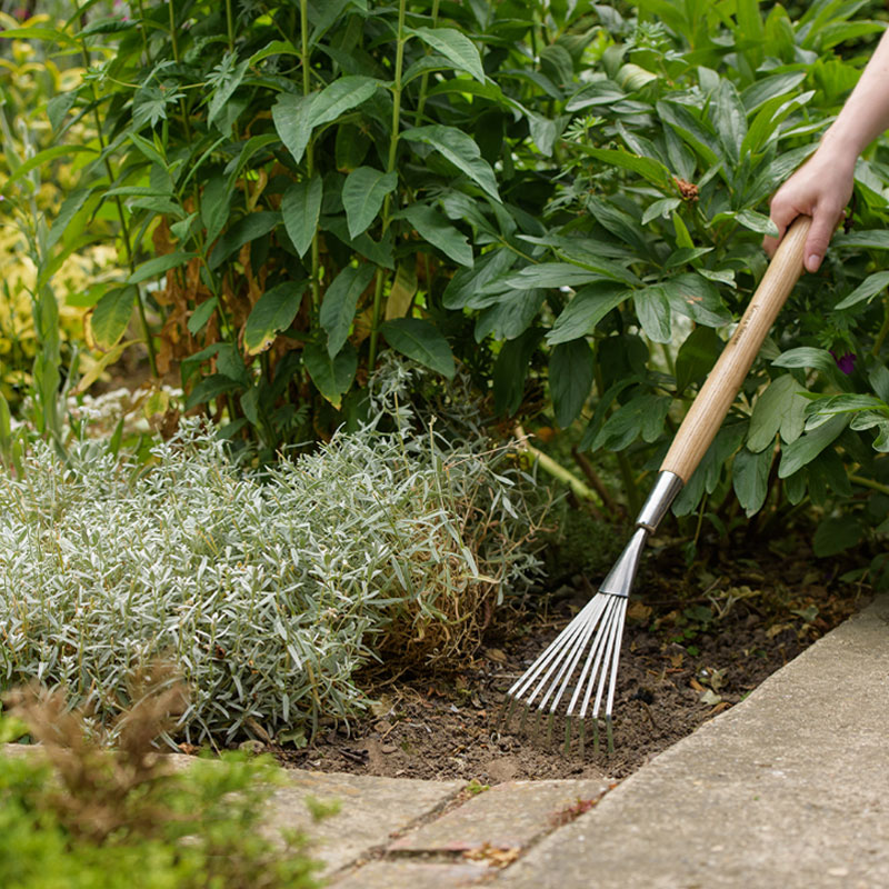 Handräfsa, Border Shrub Rake
