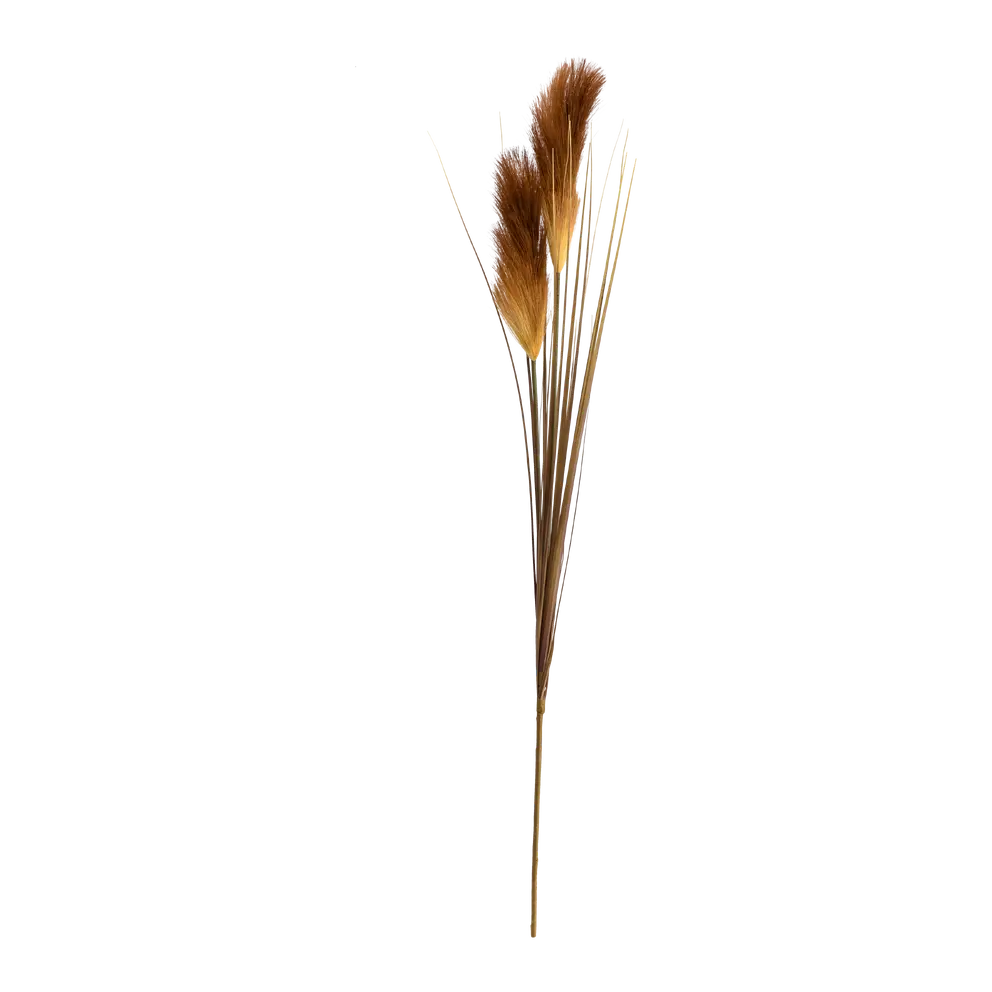 Dekozweig Dried-Grass