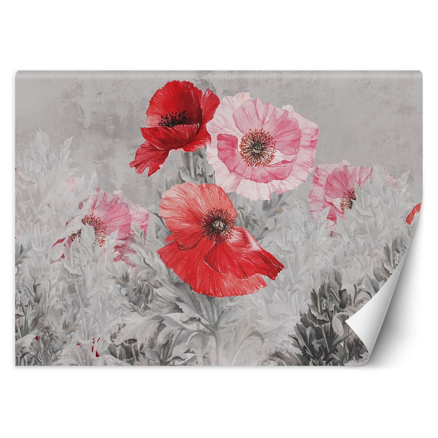 Feeby Fototapeta, Czerwone maki akwarela 150x105