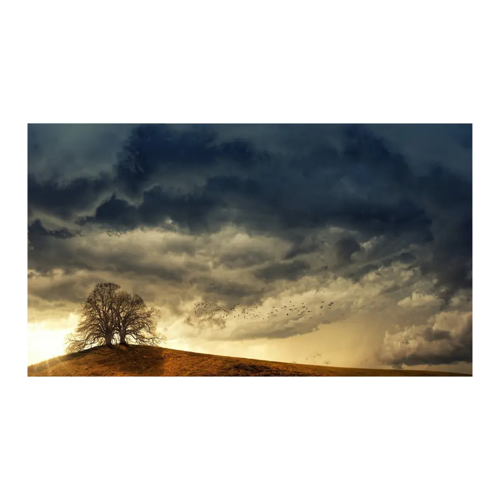 Leinwandbild Digital Art