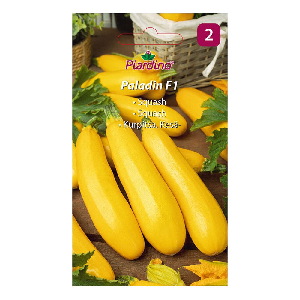 GRØNNSAKSFRØ PIARDINO SQUASH PALADIN F1