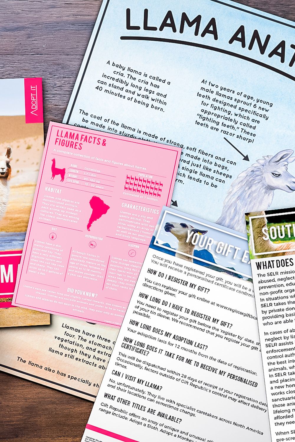 Gift Republic Adopt a Llama Gift Pack