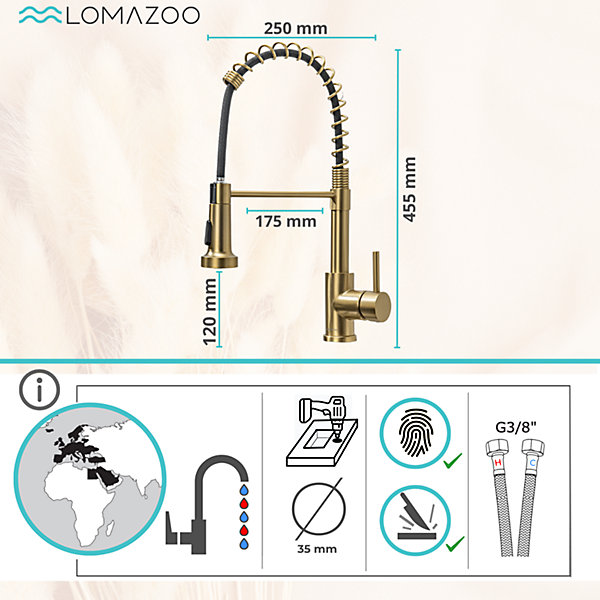Mitigeur Cuisine avec Douchette Doré LOMAZOO Luxor