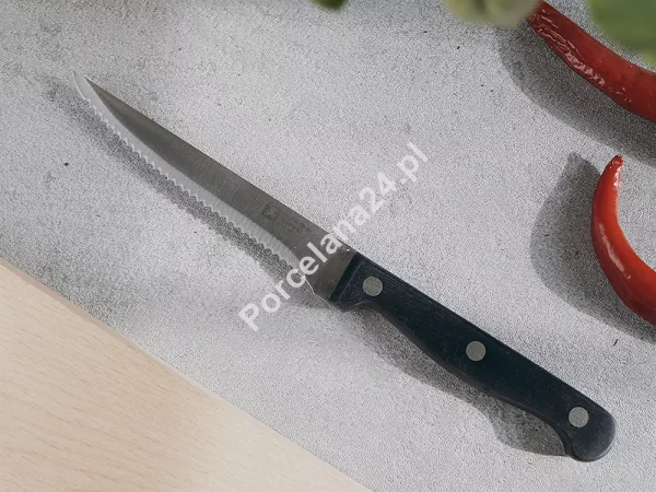 Komplet noży kuchennych (6el) w bloku Amefa / Richardson Sheffield - ARTISAN