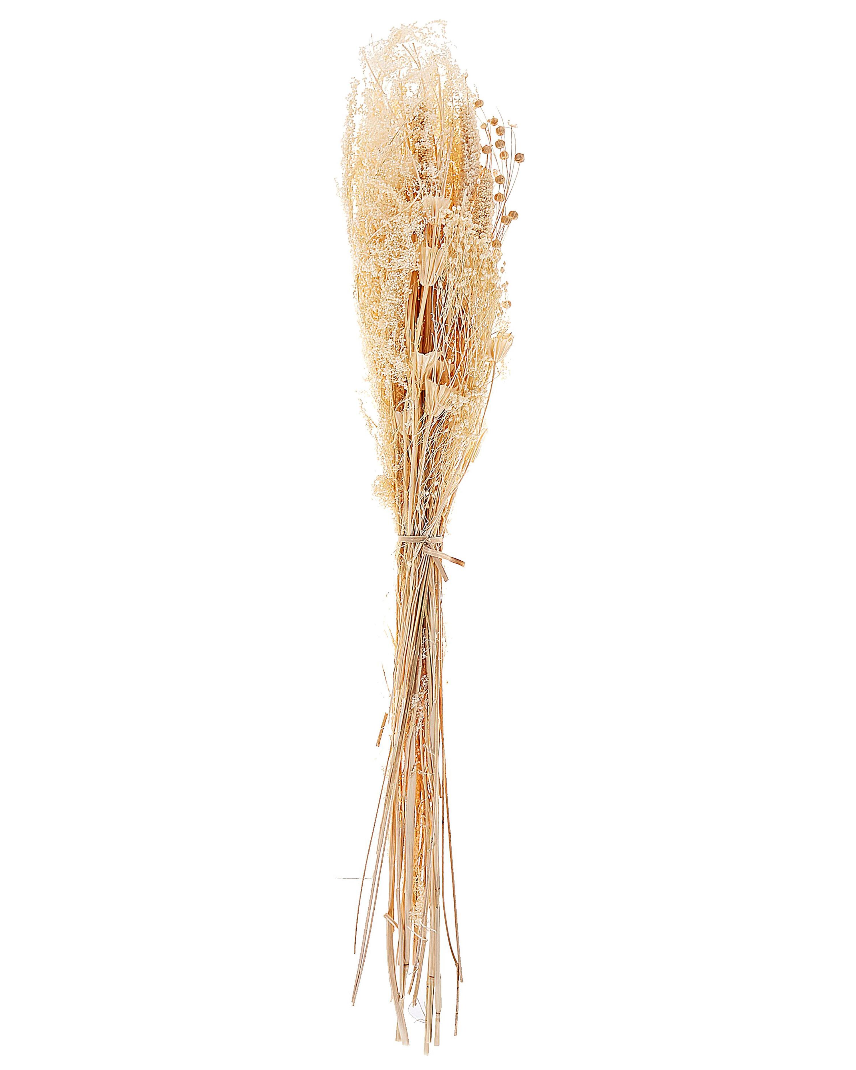 Dried Flower Bouquet BRUNETE 65 cm Natural