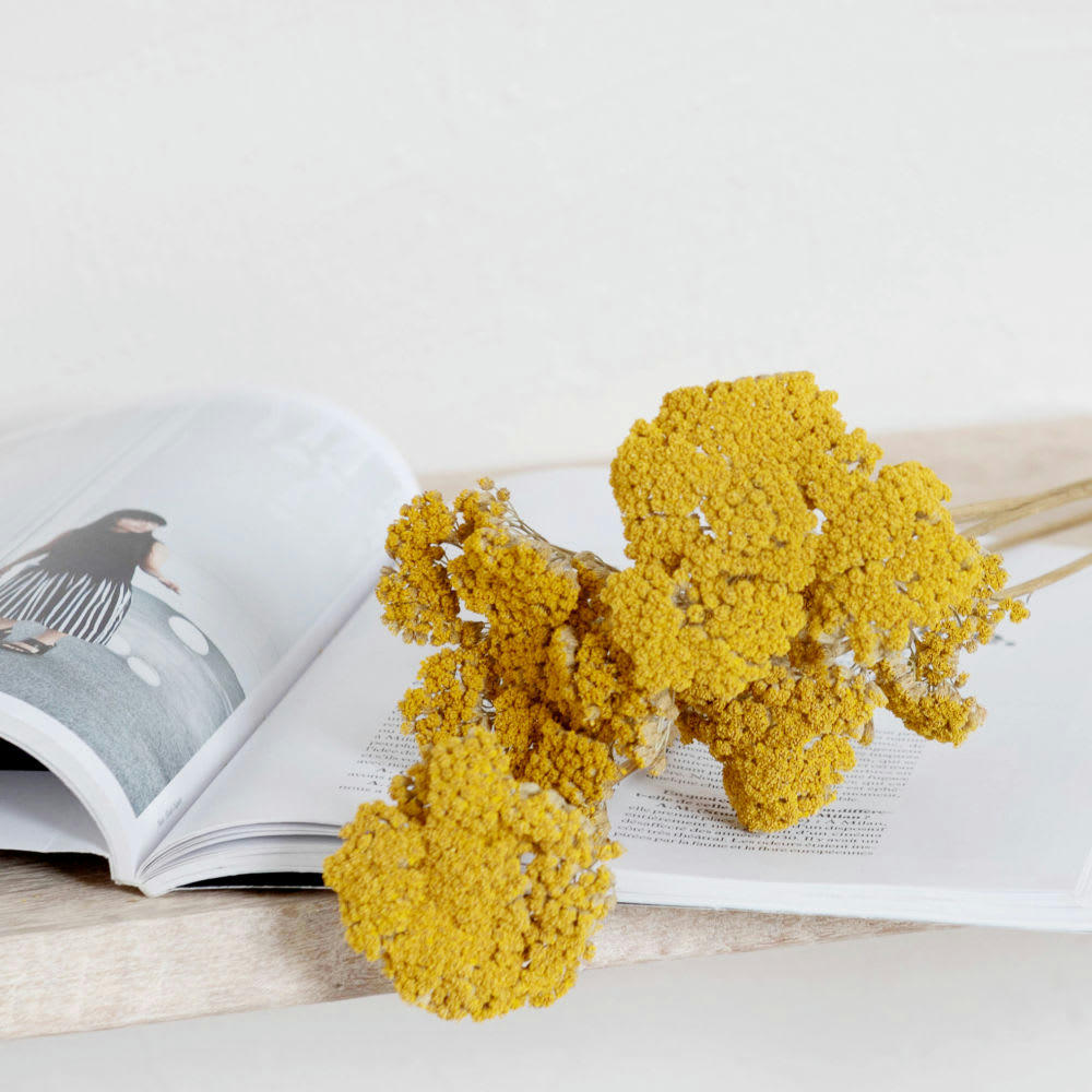 - Bouquet de fleurs séchées jaune