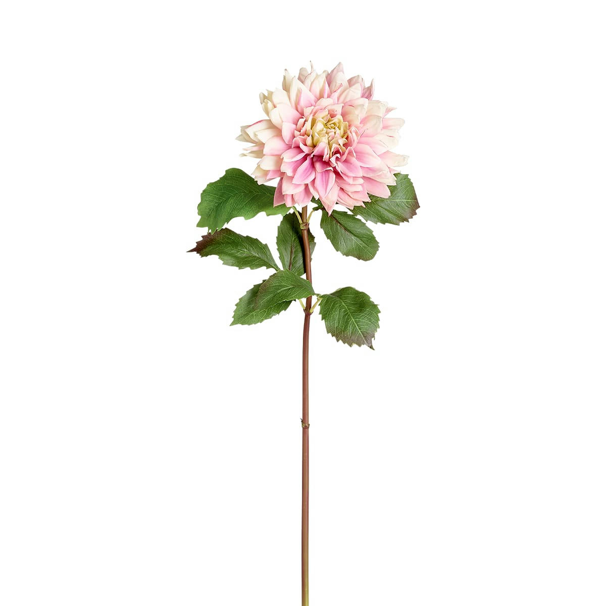 MONICA - Dahlia artificiel Monica H70cm