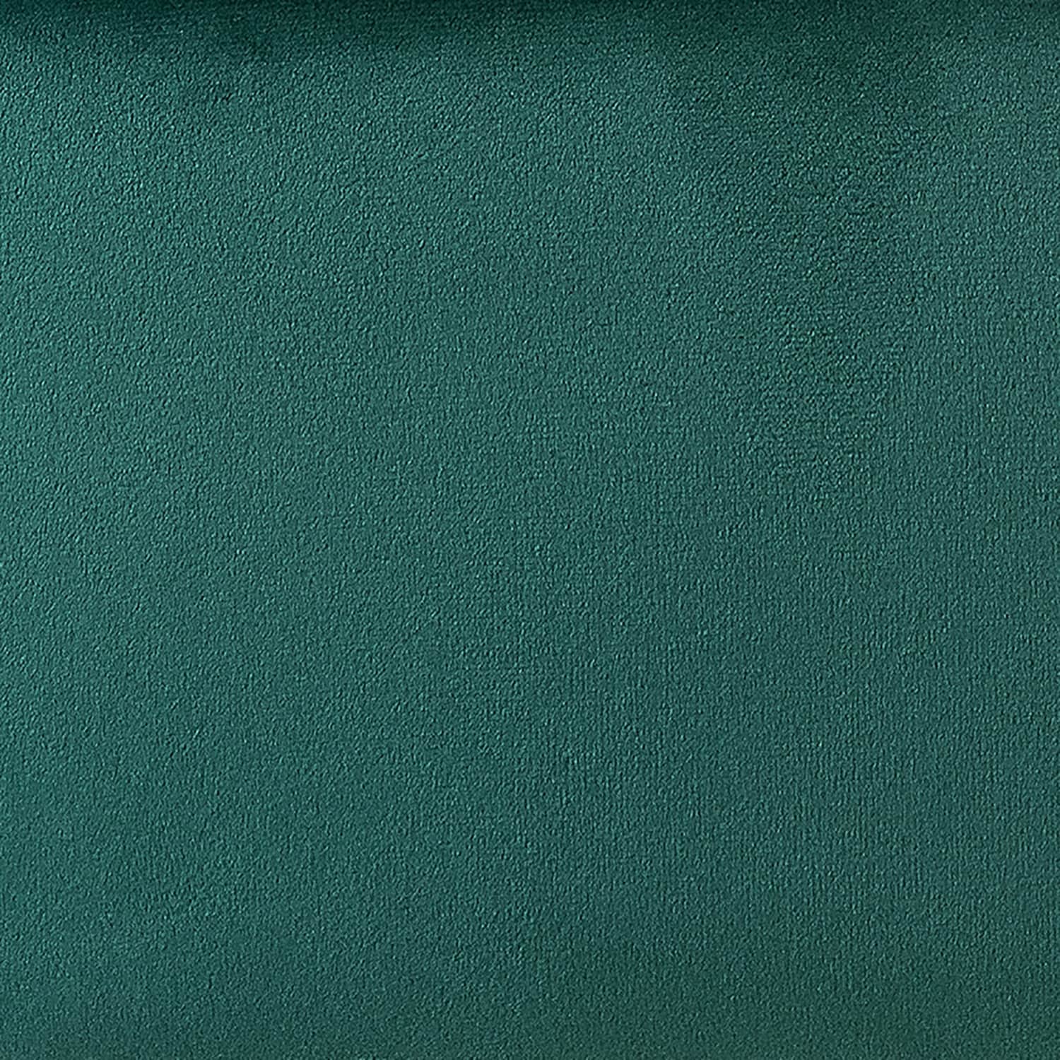 Marina Modern Velvet Accent Chair with Golden Legs Set of 2 by HULALA HOME