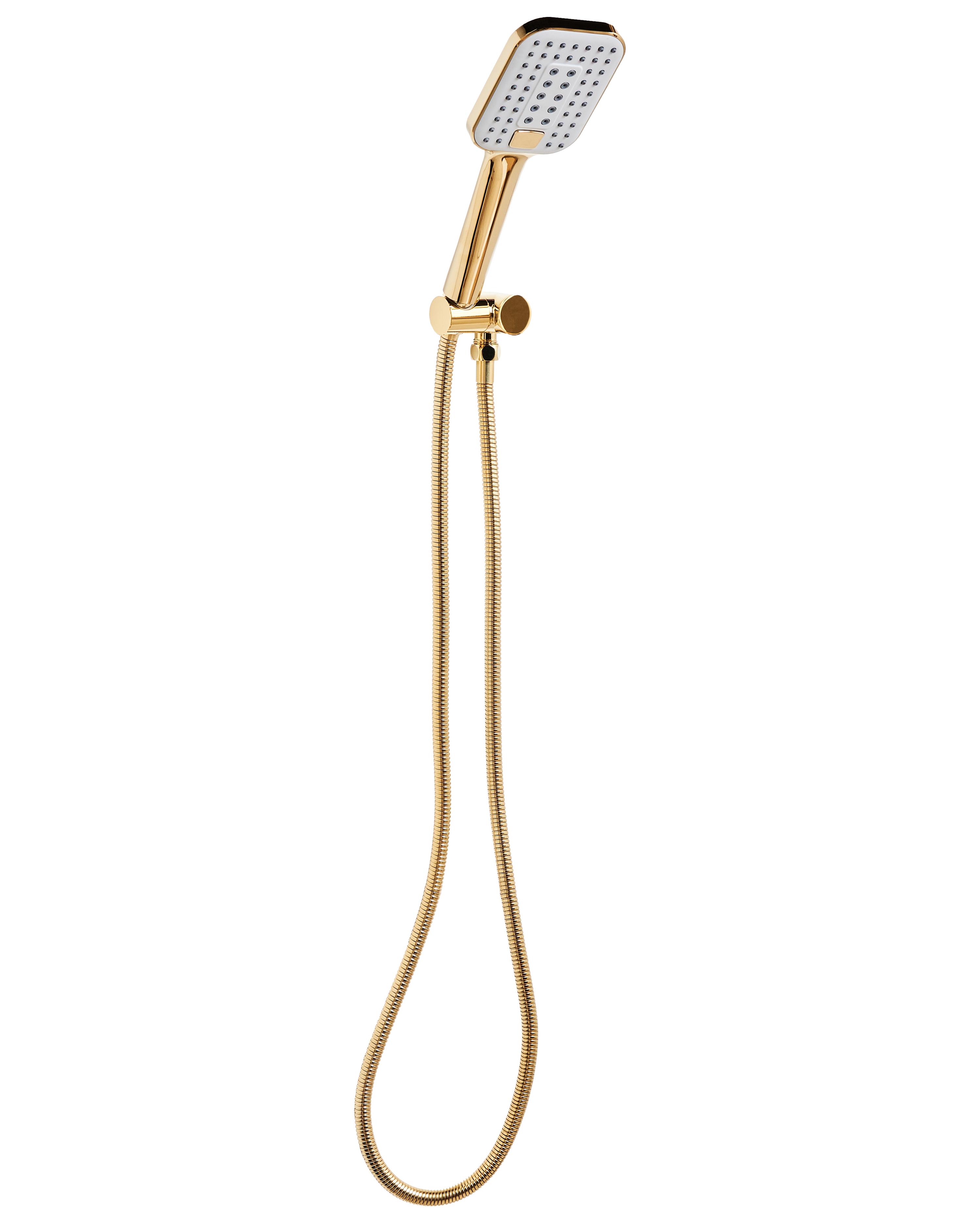 Shower Head and Hose Kit TINGO 4-function Gold