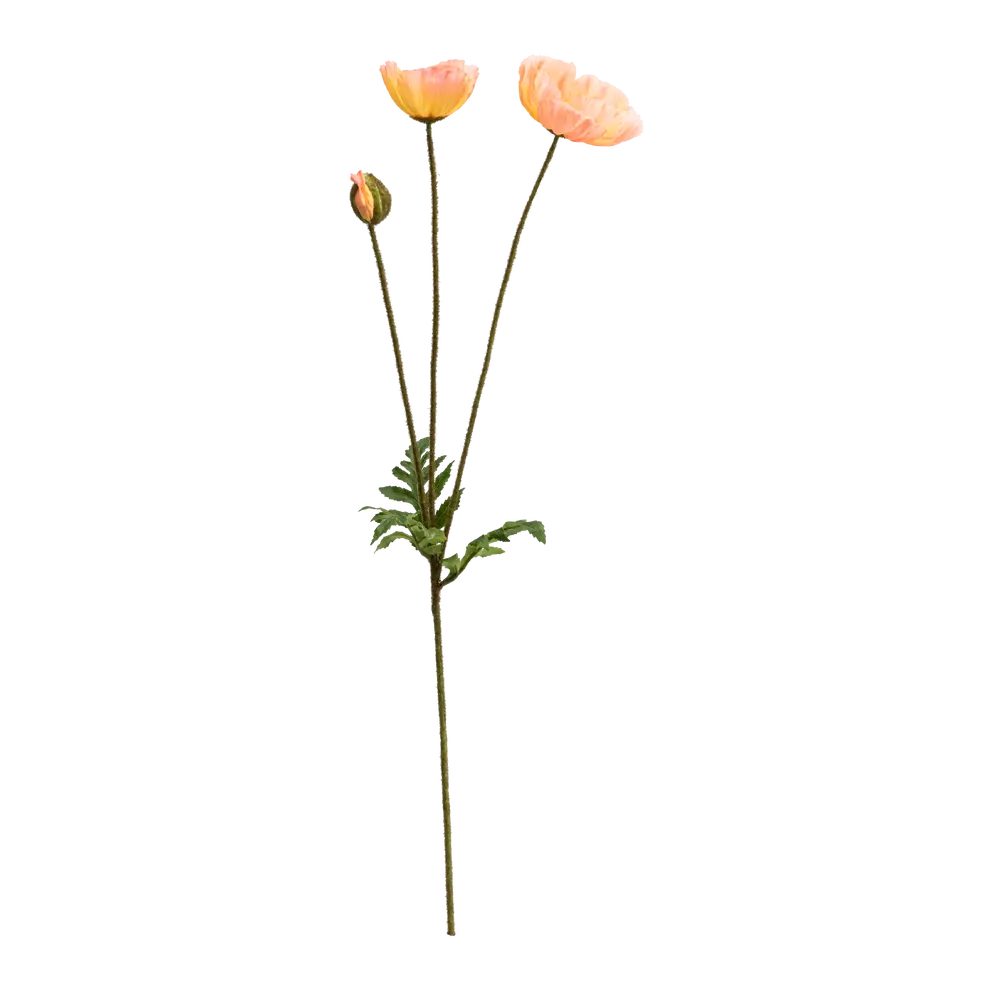 Kunstblume Mohn