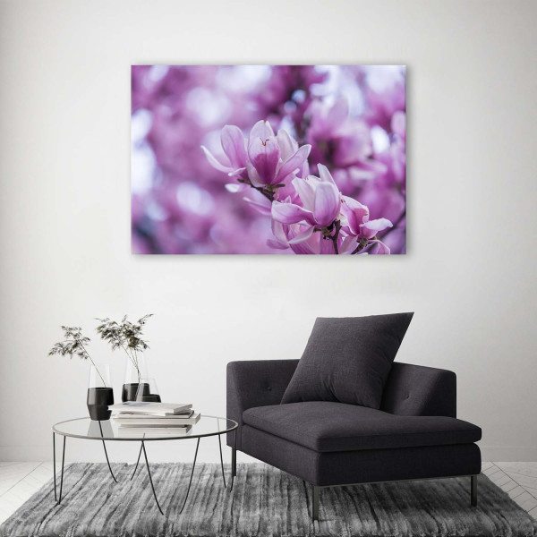 Feeby Obraz na płótnie Kwiaty magnolii 60x40