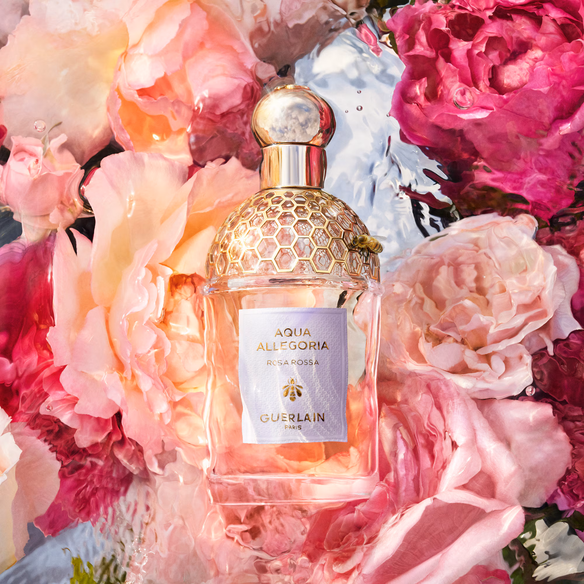 AQUA ALLEGORIARosa rossa - eau de toilette