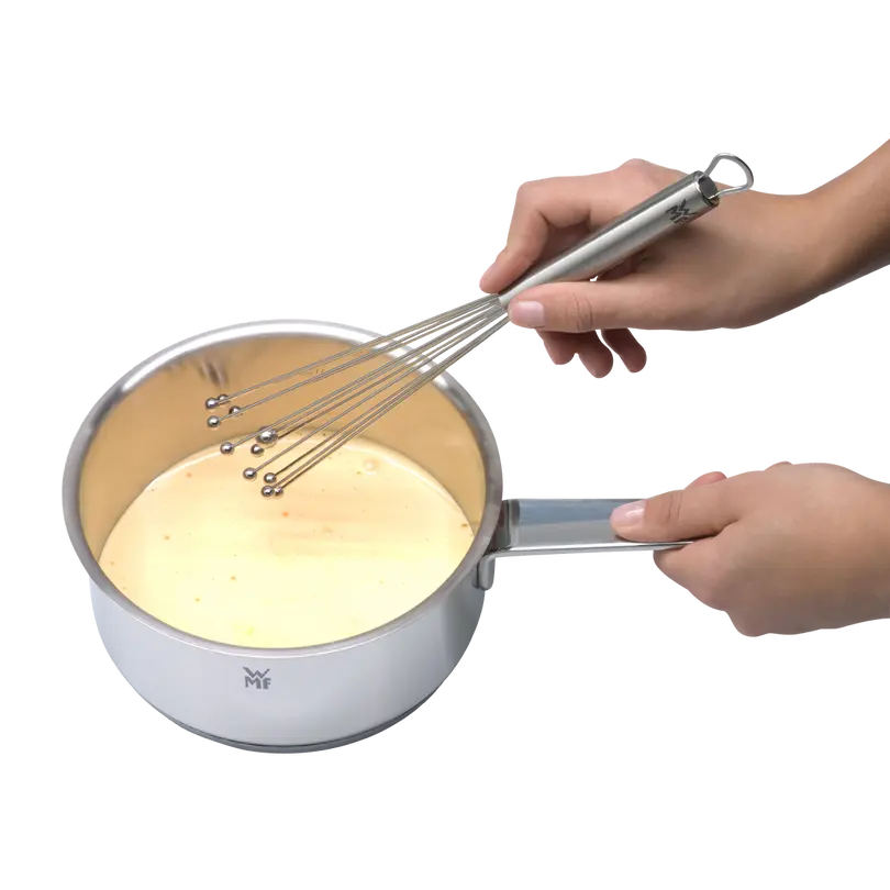 Schneebesen Profi Plus