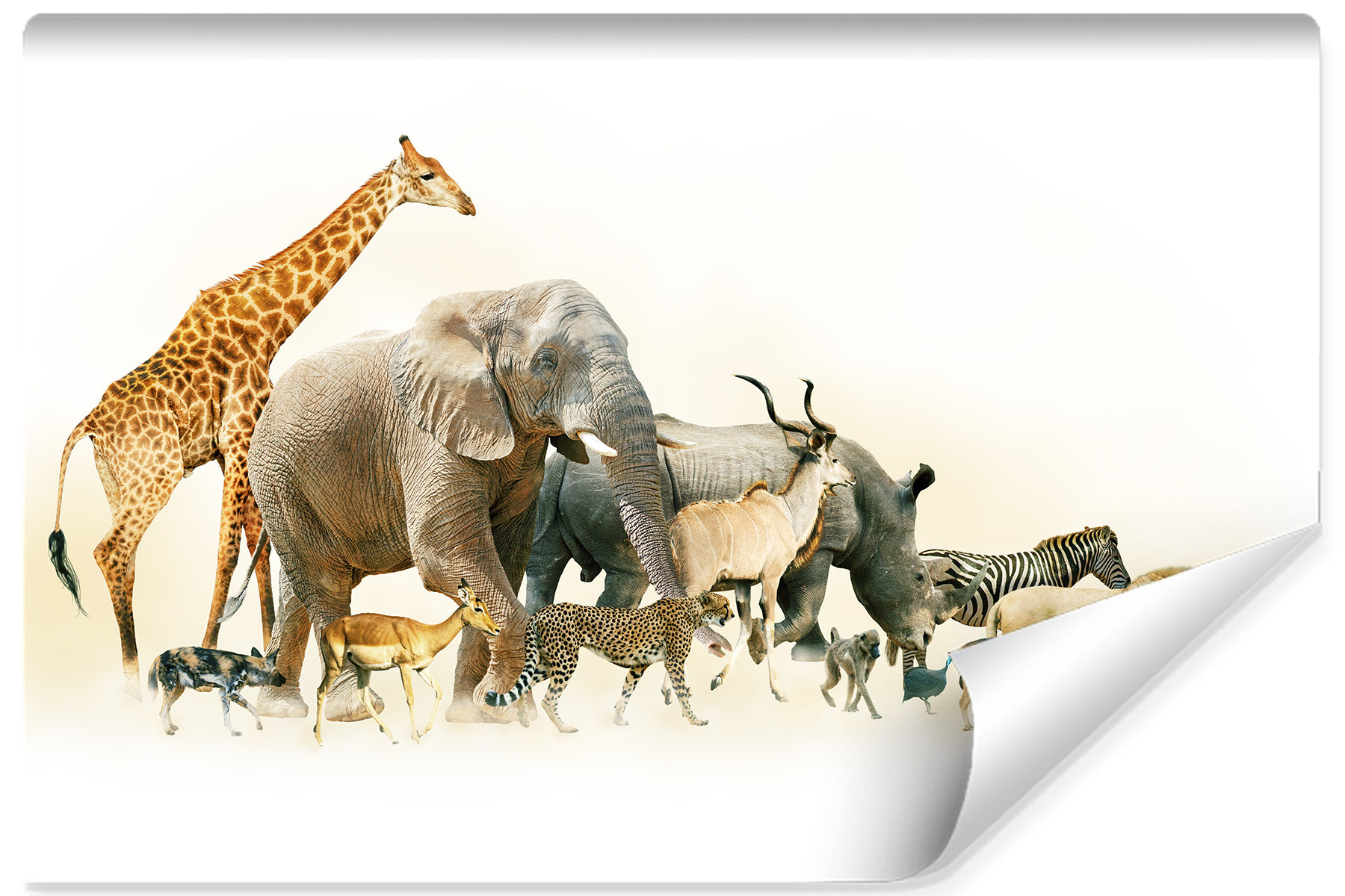 Fototapeta Zwierzęta SŁOŃ Żyrafa Zebra 3D 90x60cm