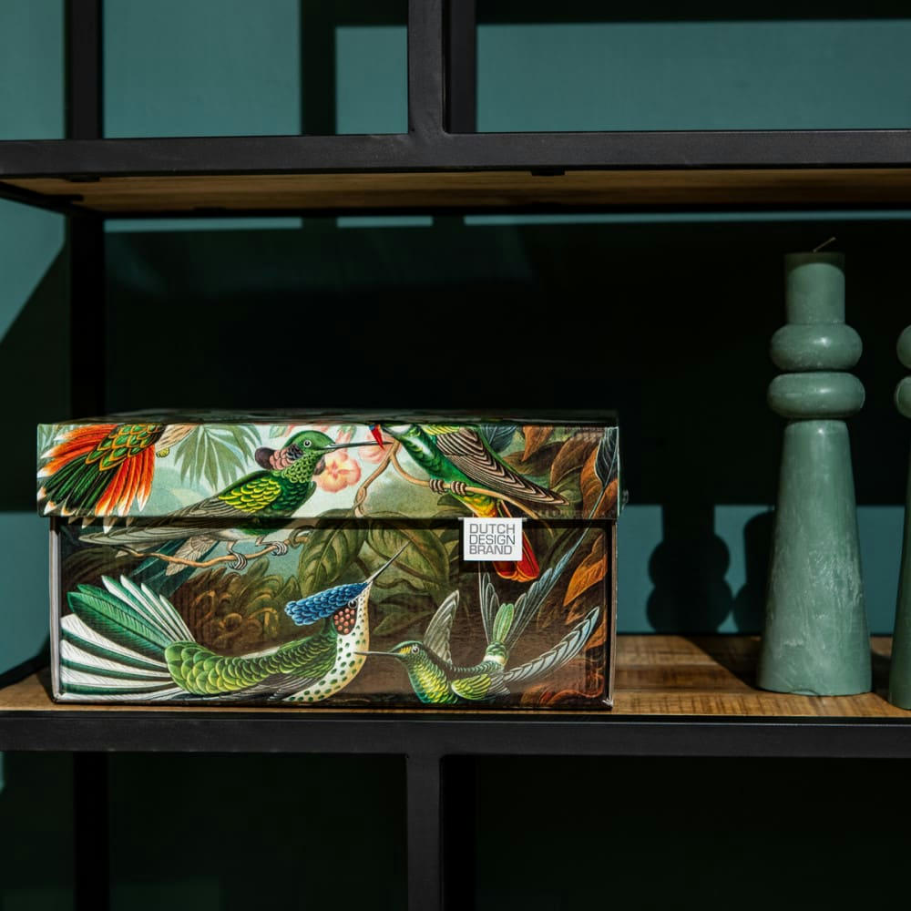 ART OF NATURE - Lot de 2 boites de rangement carton multicolore 33x24x17cm