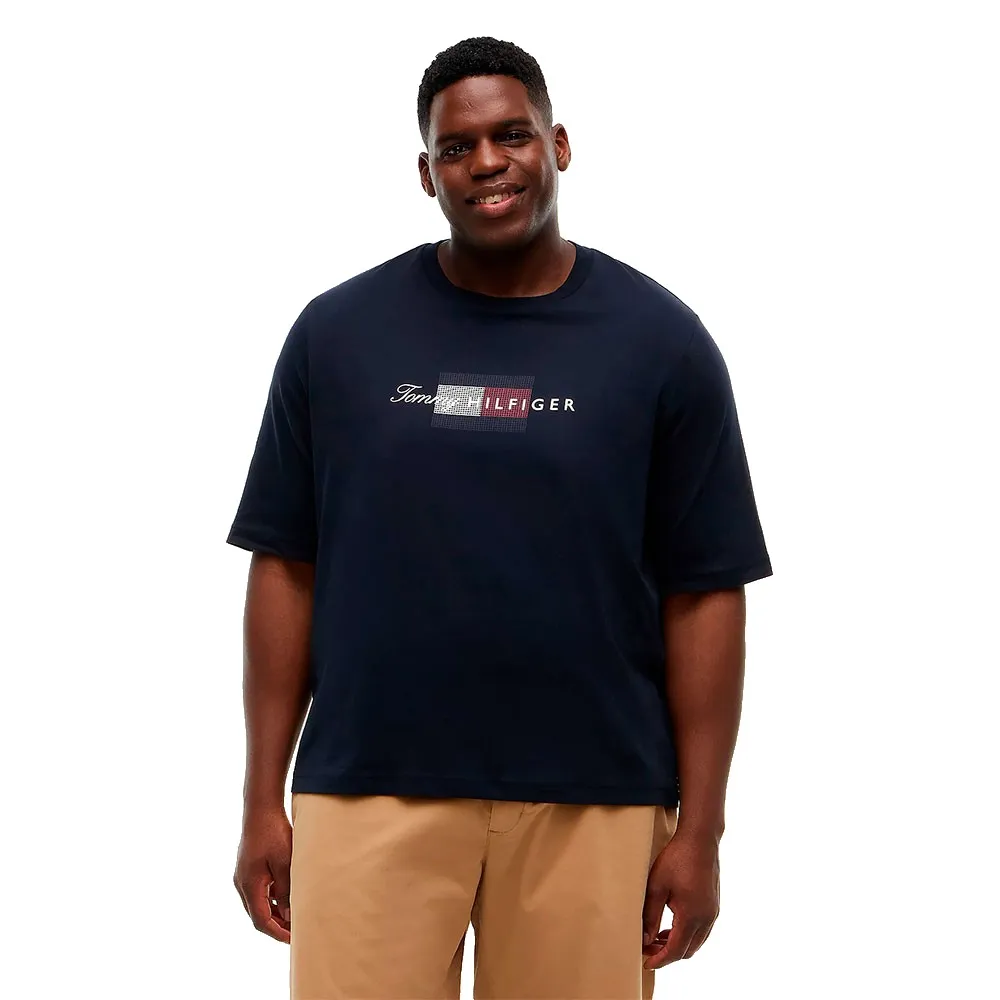 Tommy Hilfiger MW0MW45120 Plus Size short sleeve T-shirt