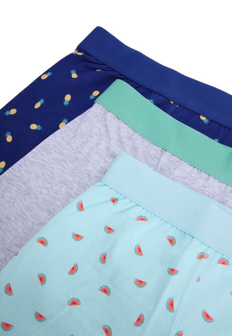 Mens 3pk Blue Watermelon Hipster Trunks