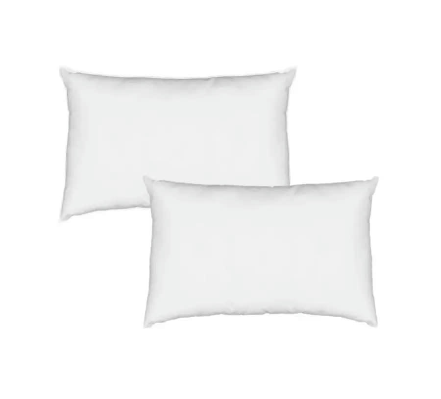 PACOME - Lot de 2 oreillers en Microfibre 45 x 70 cm
