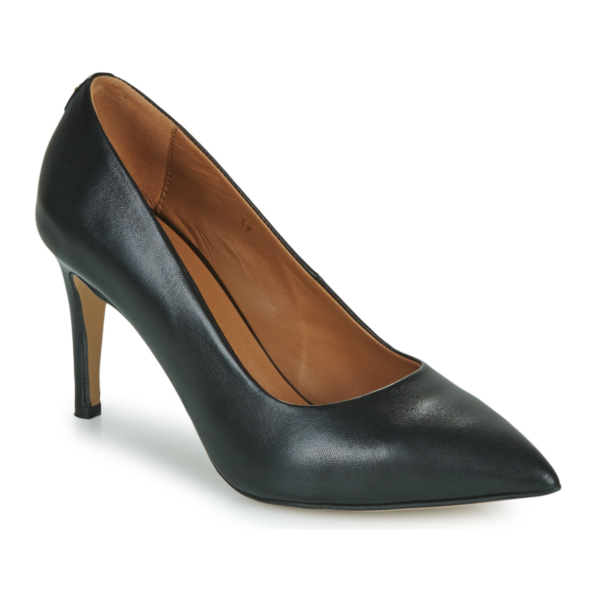 Fericelli - URSINIA - Black