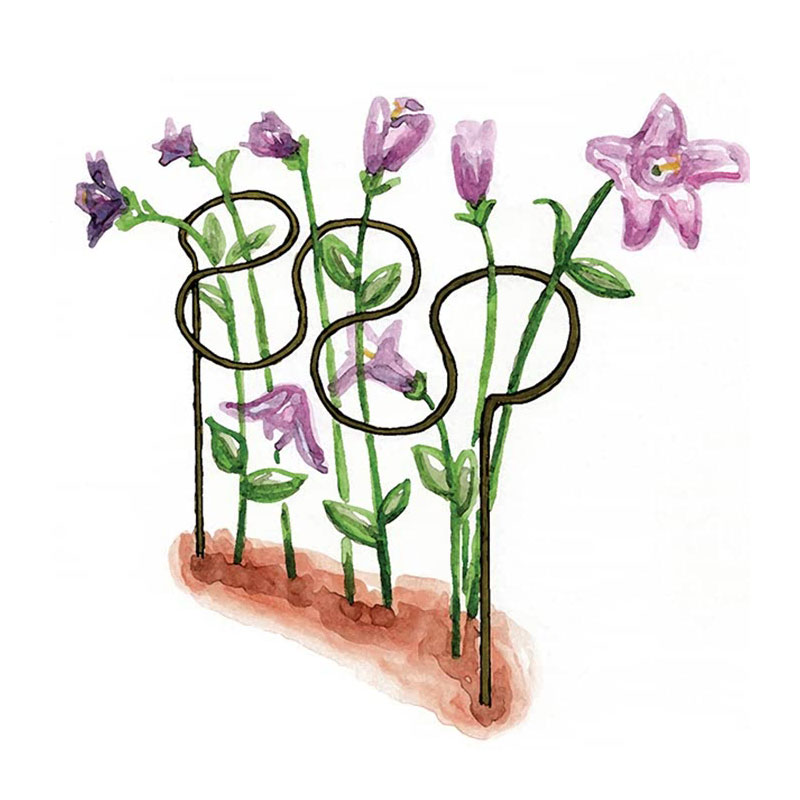 Växtstöd Grow Through, grön, 3-pack