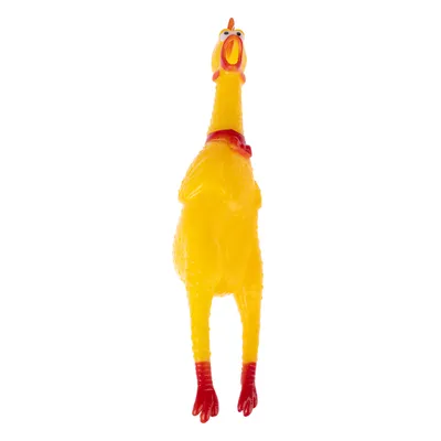 zooplus Basics Squeaky Chicken