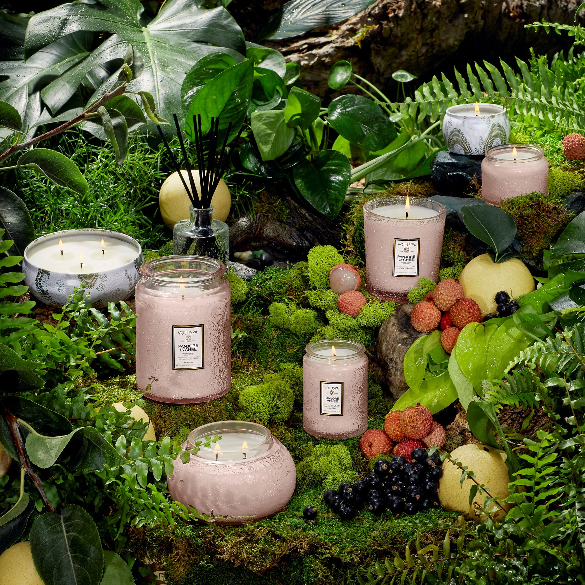 Panjore Lychee - 5 Wick Hearth Candle