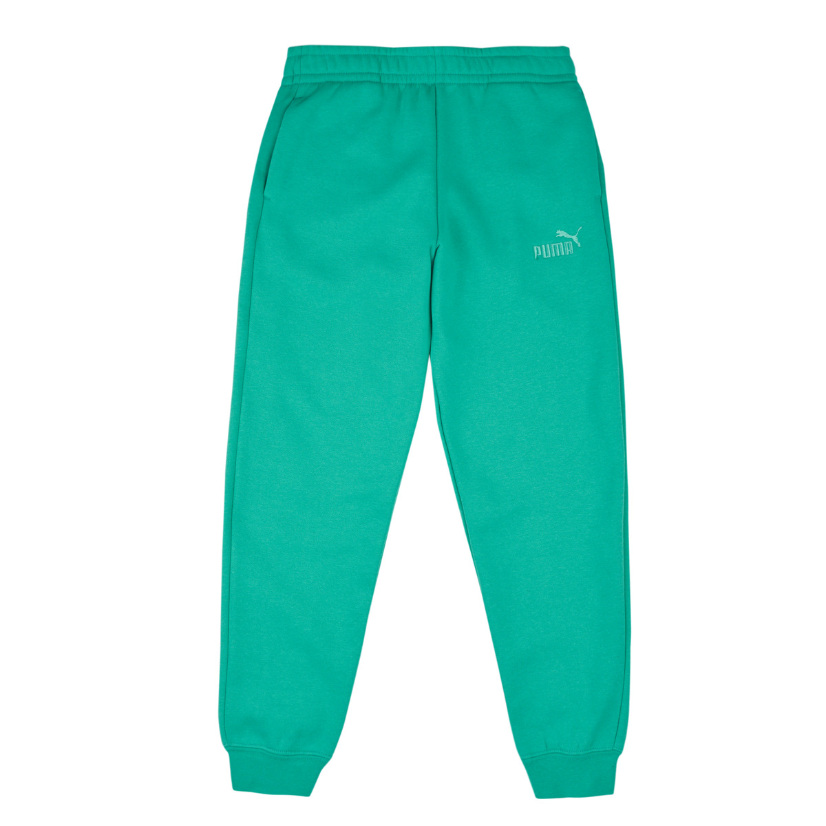 Puma - ESS No.1 Logo Sweatpants FL - Green