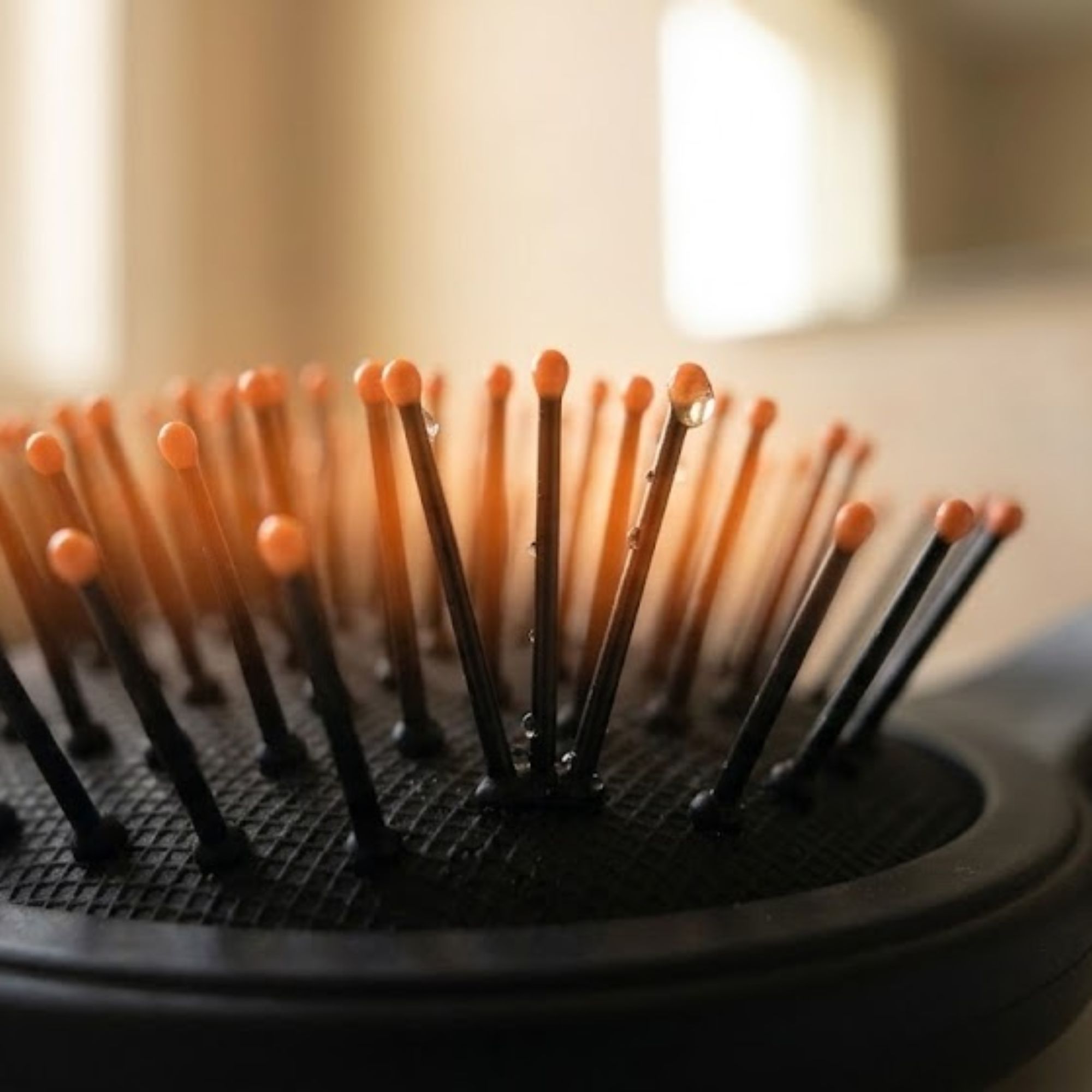 Bedsland Professional Cushion Hair Brush Hair Detangler Styling Tool