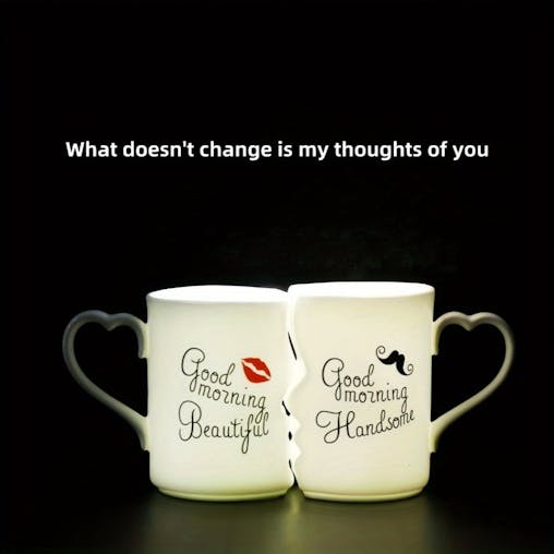 NNETM 2pcs Kissing Ceramic Couple Mugs