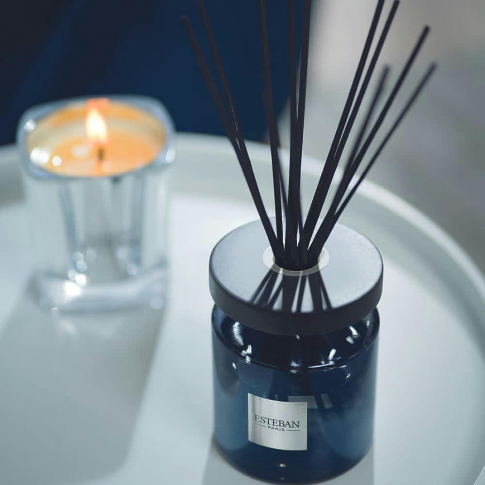 NÉROLI & FRANGIPANIER - Bouquet parfumé Ellipse 200ml